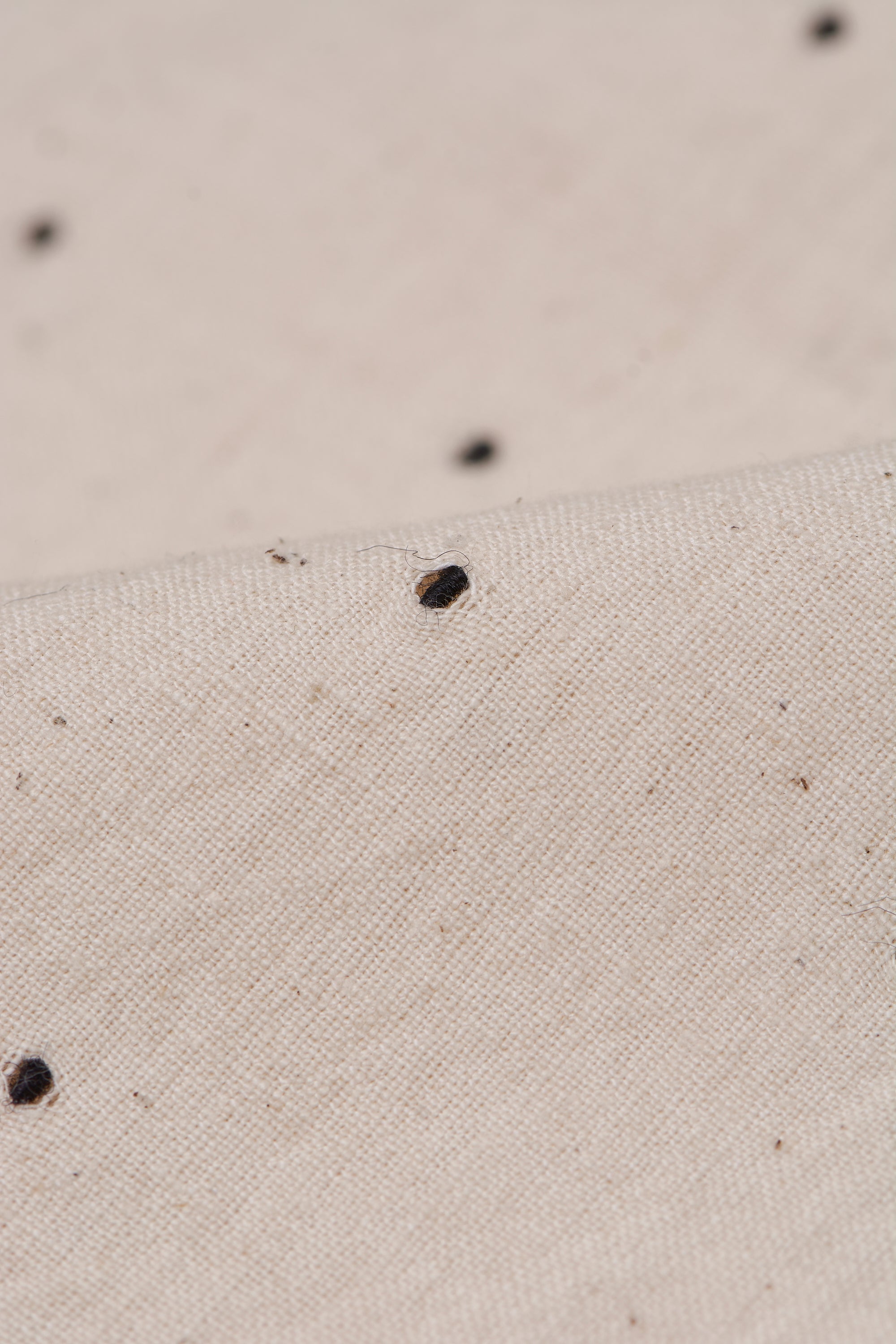 Fabric close-up with tangaliya work